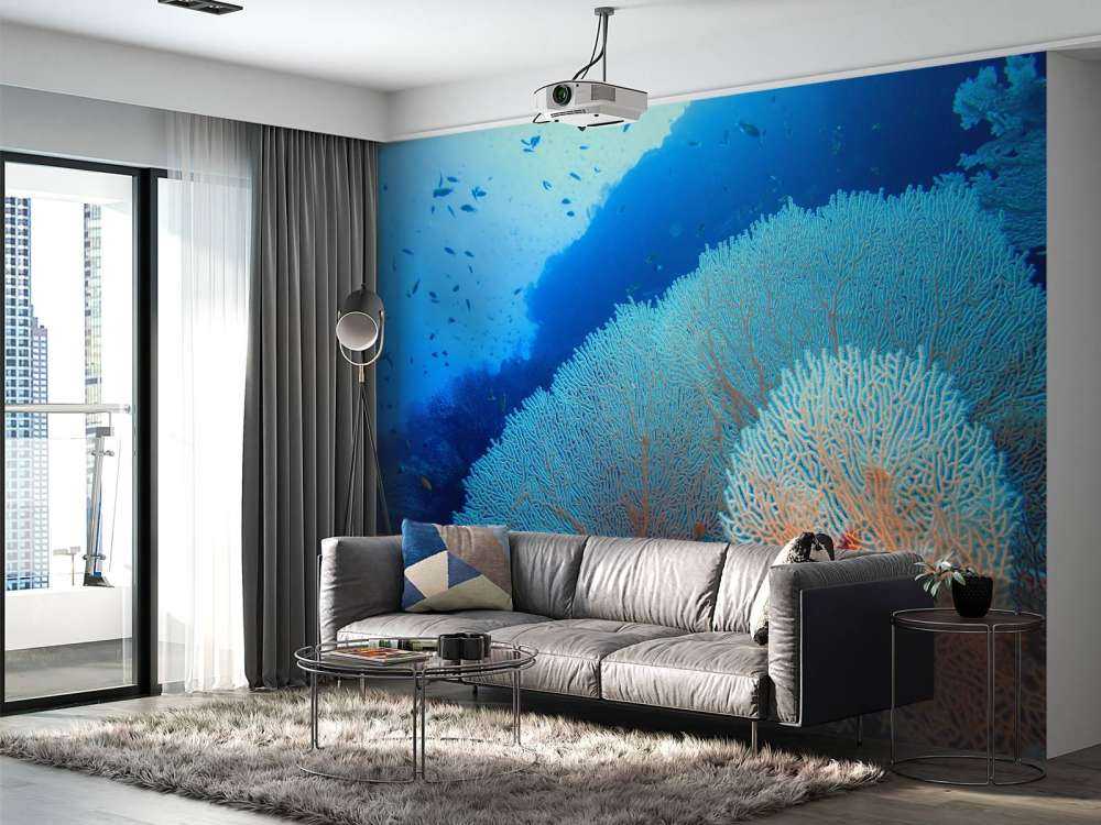 Coral con peces