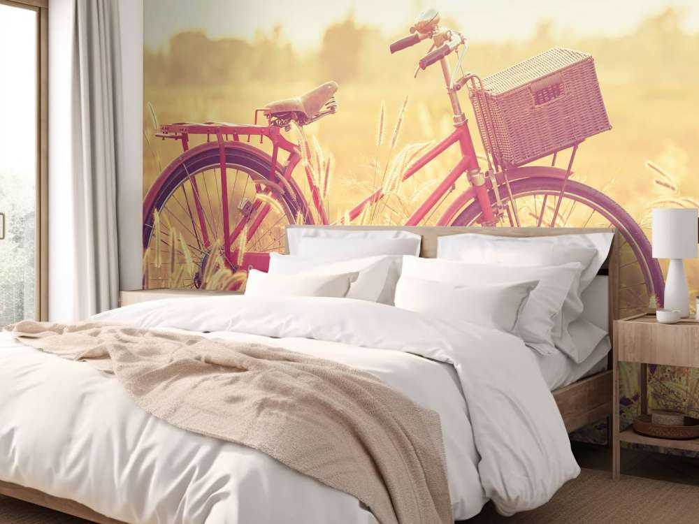 Bicicleta de época