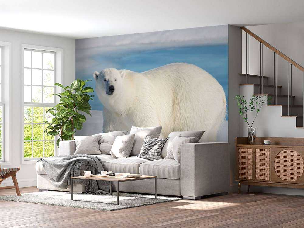 Oso polar