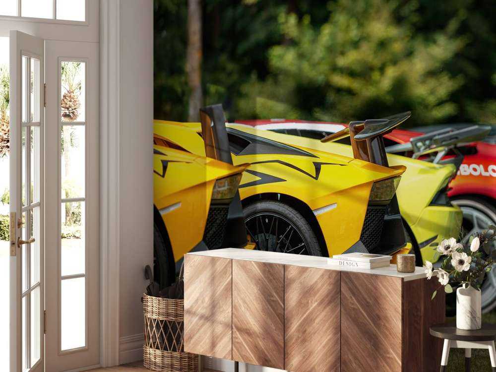 Colección de supercoches en la naturaleza