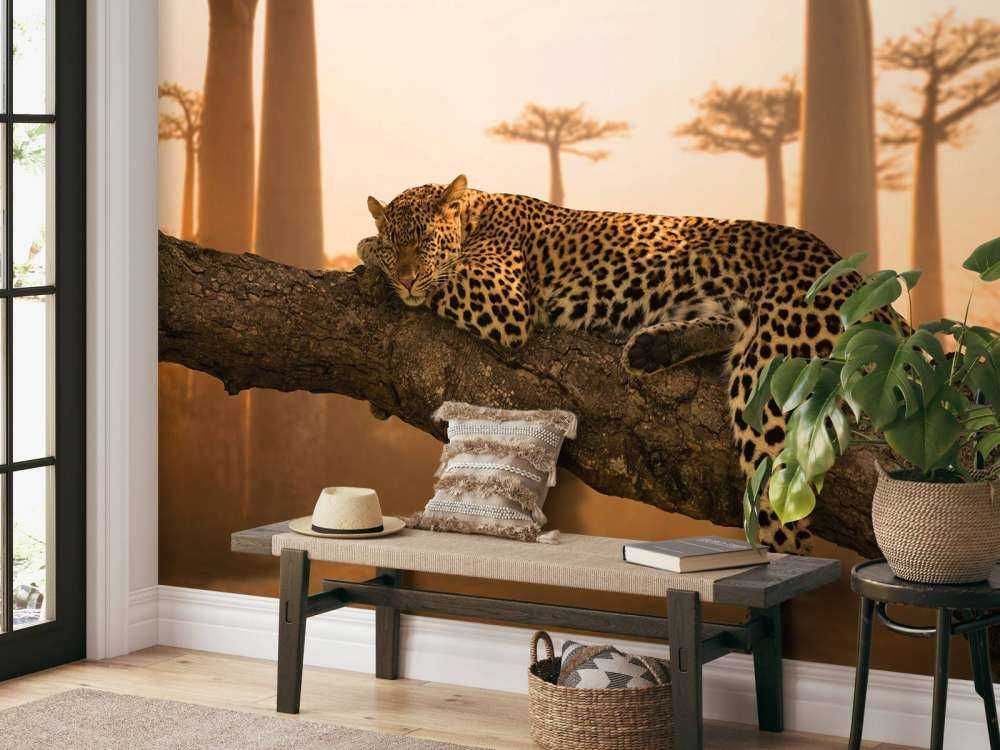 Leopardo dormido