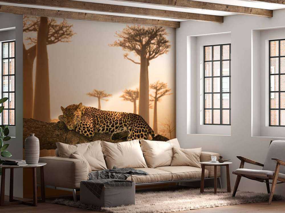 Leopardo dormido