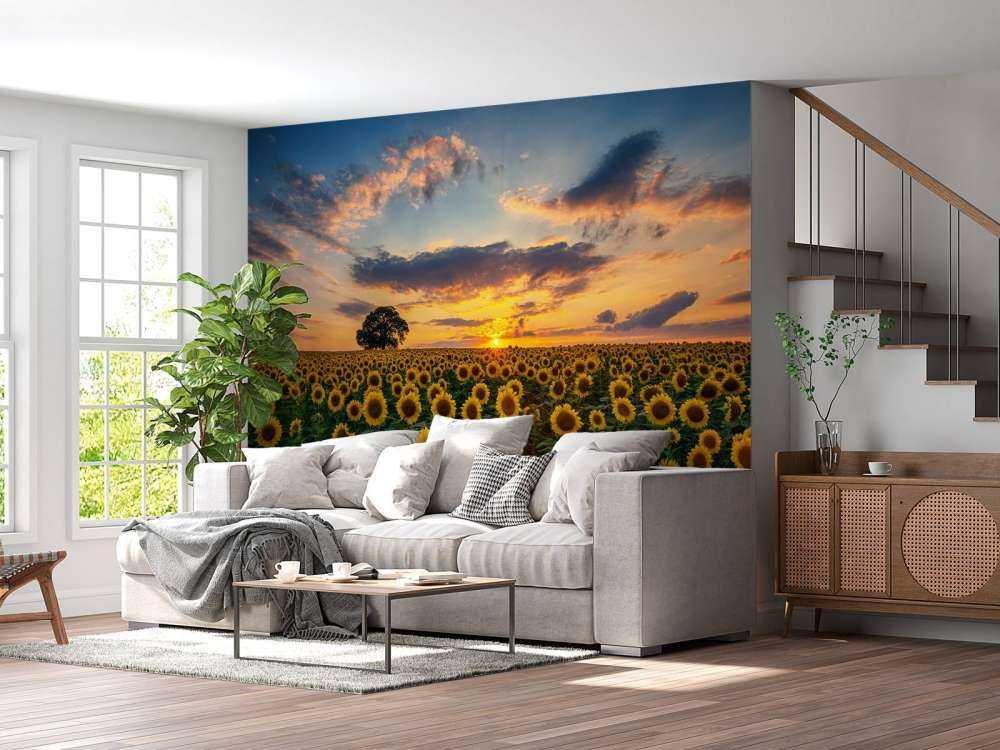 Campo lleno de girasoles