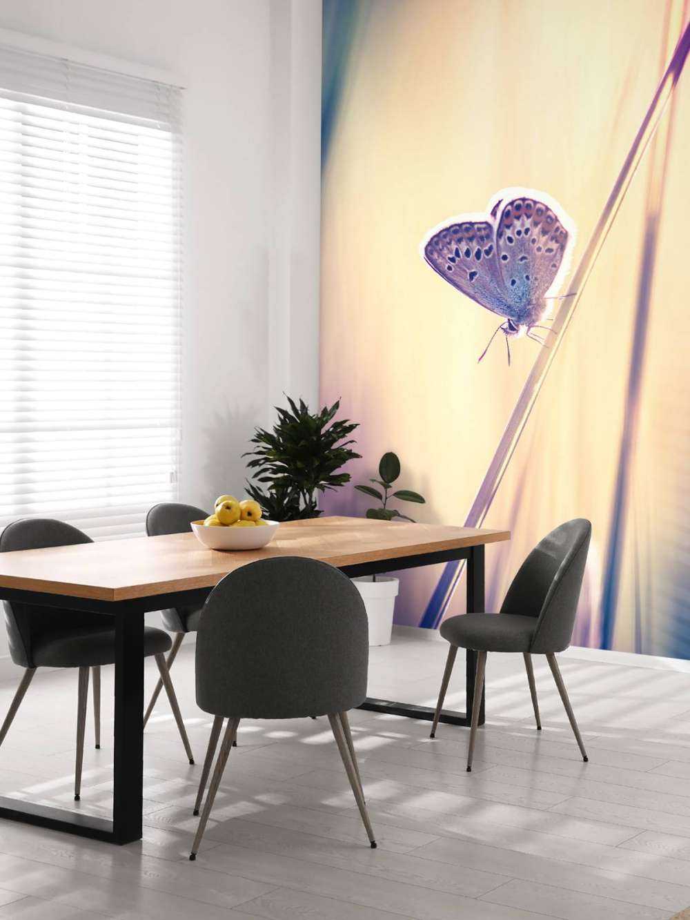 Mariposa de ensueño