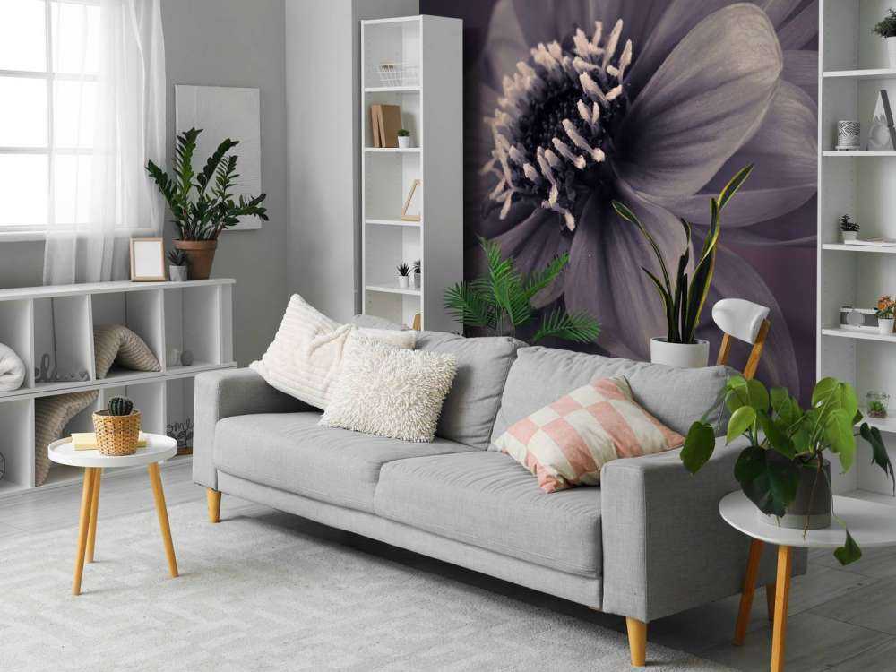 Flor de dalia oscura