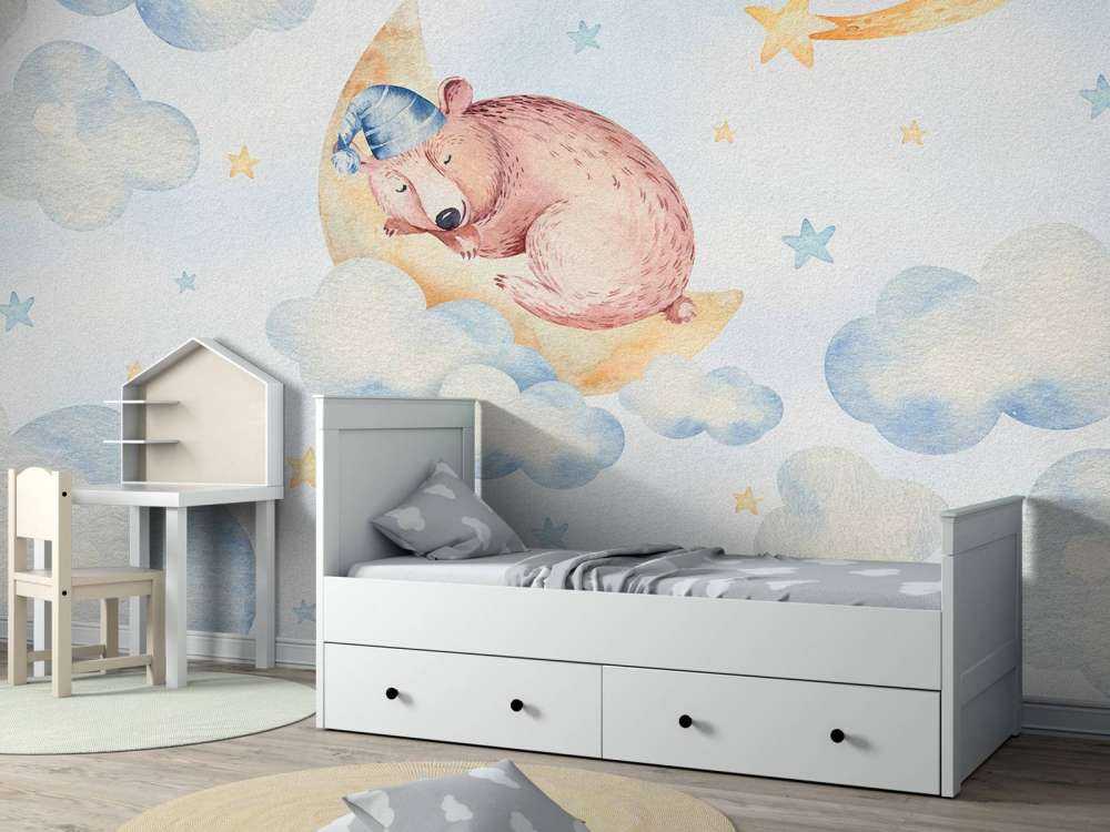 Oso dormido en las nubes