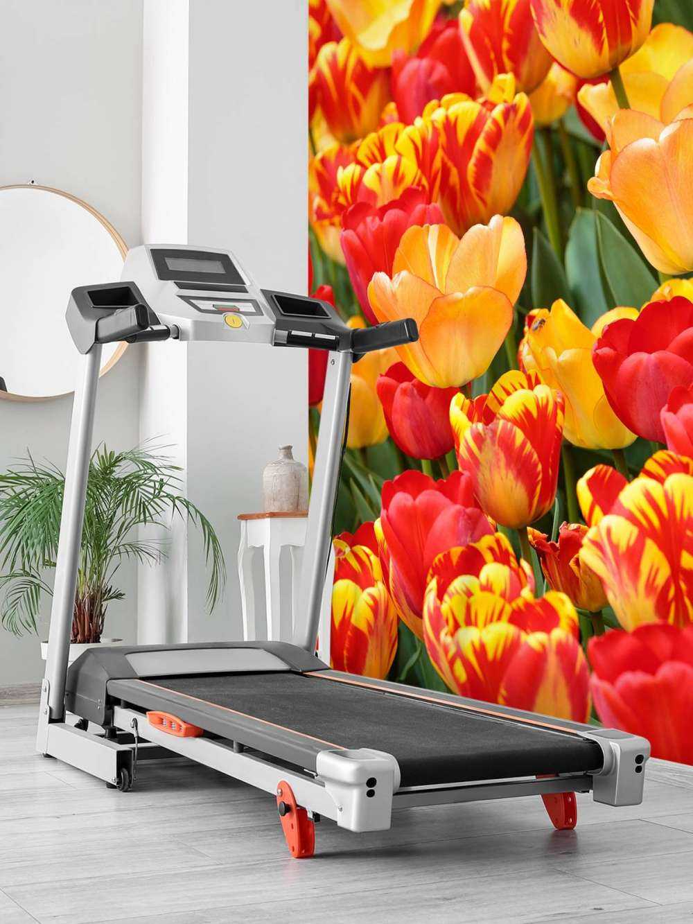 Tulipanes de colores