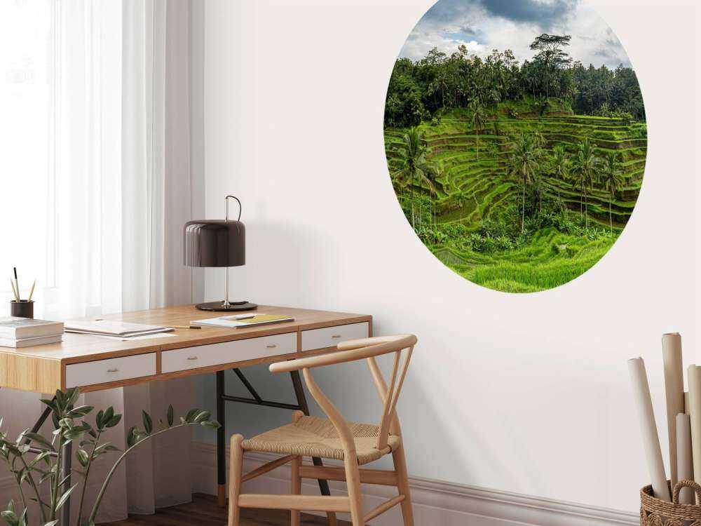 Campos de arroz tailandeses