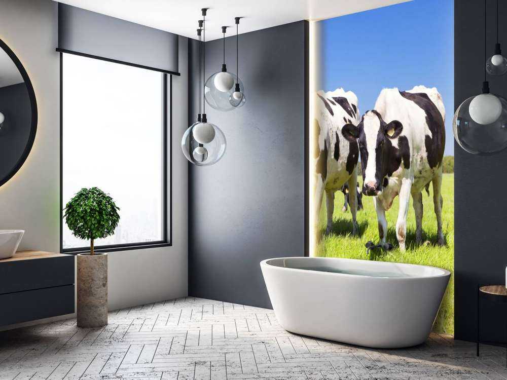 Foto empapelado vacas
