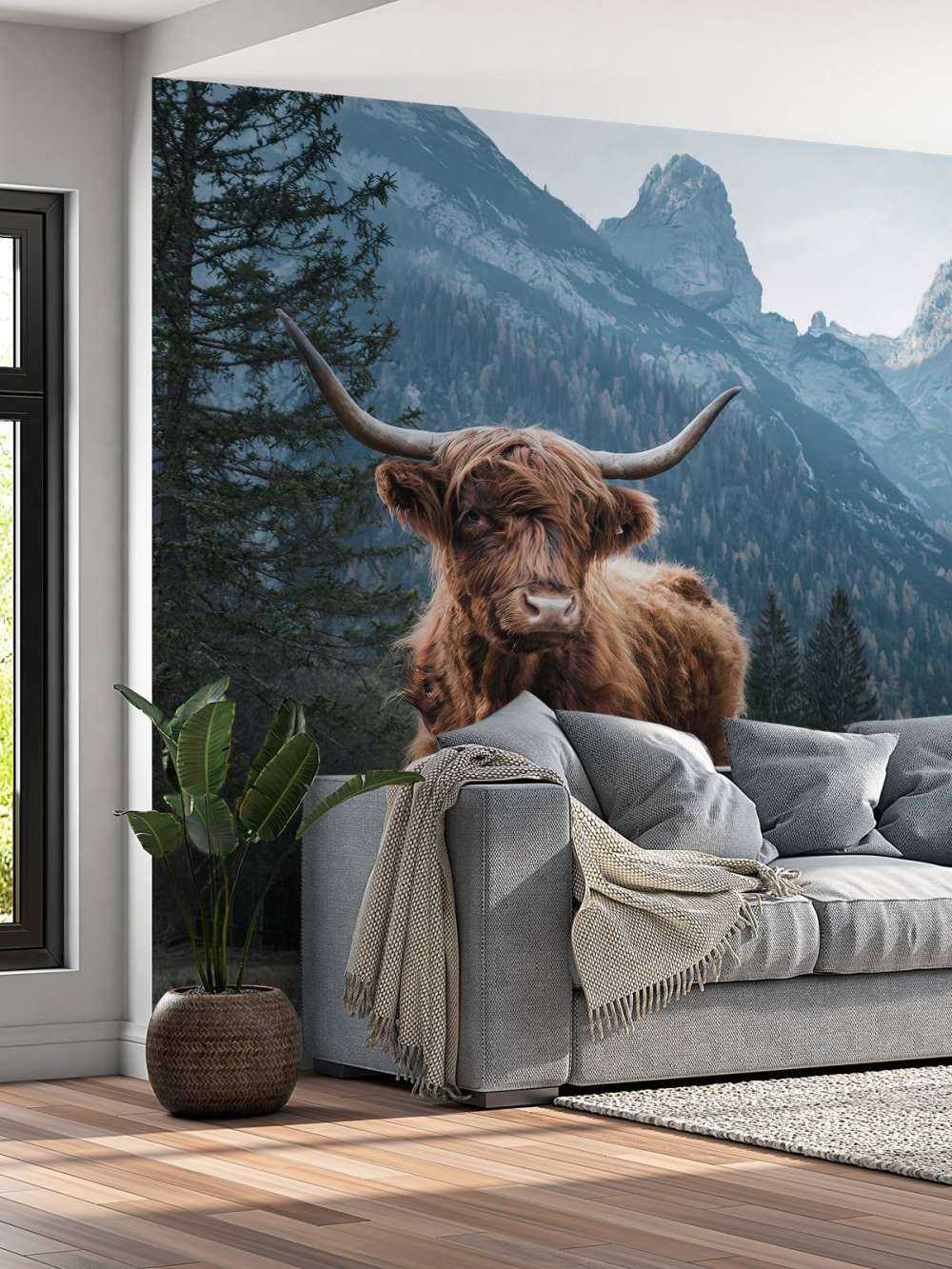 Una vaca escocesa entre los árboles