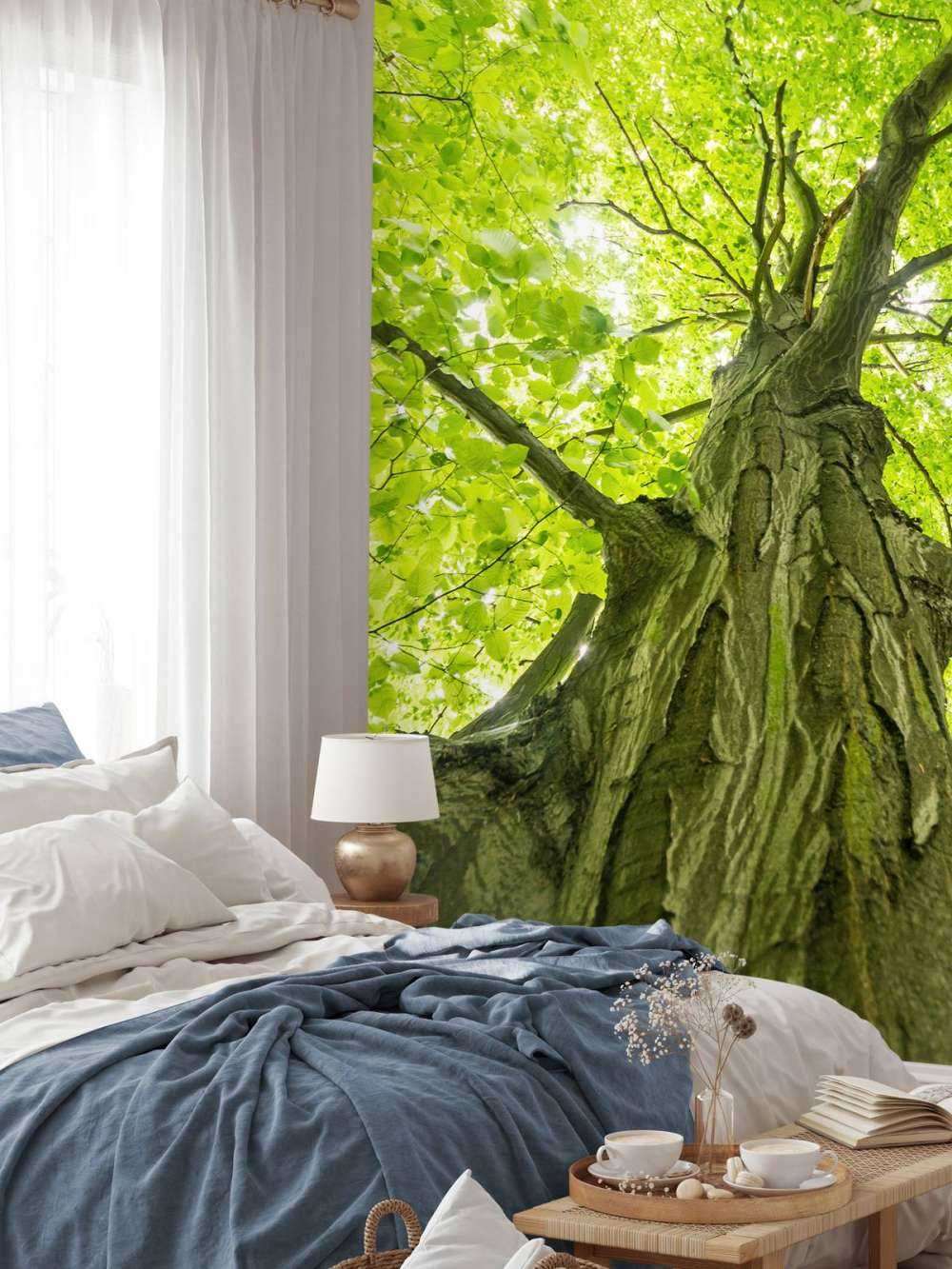 Gran árbol en el bosque