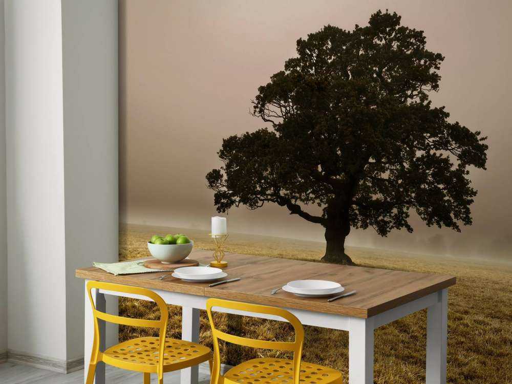 Árbol en la niebla