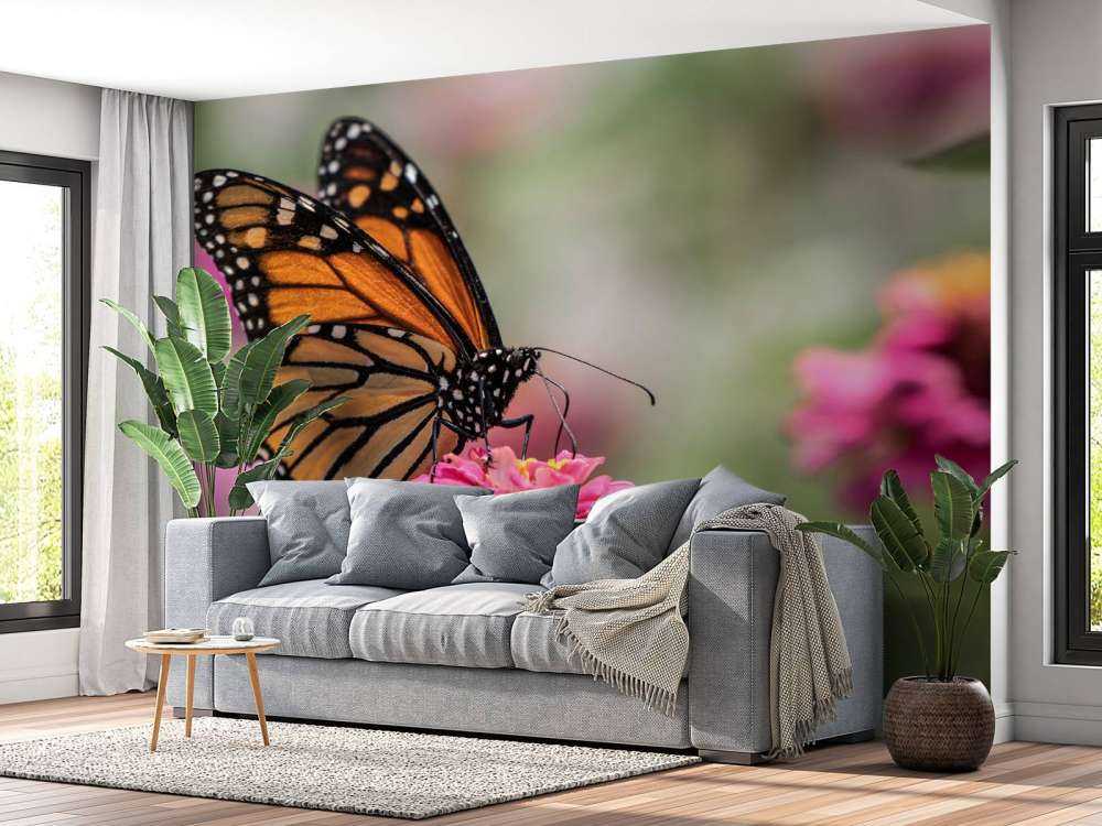 Una mariposa monarca