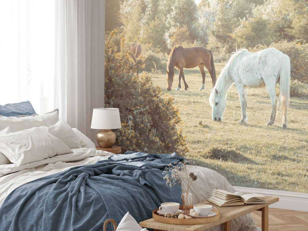Caballos de pastoreo