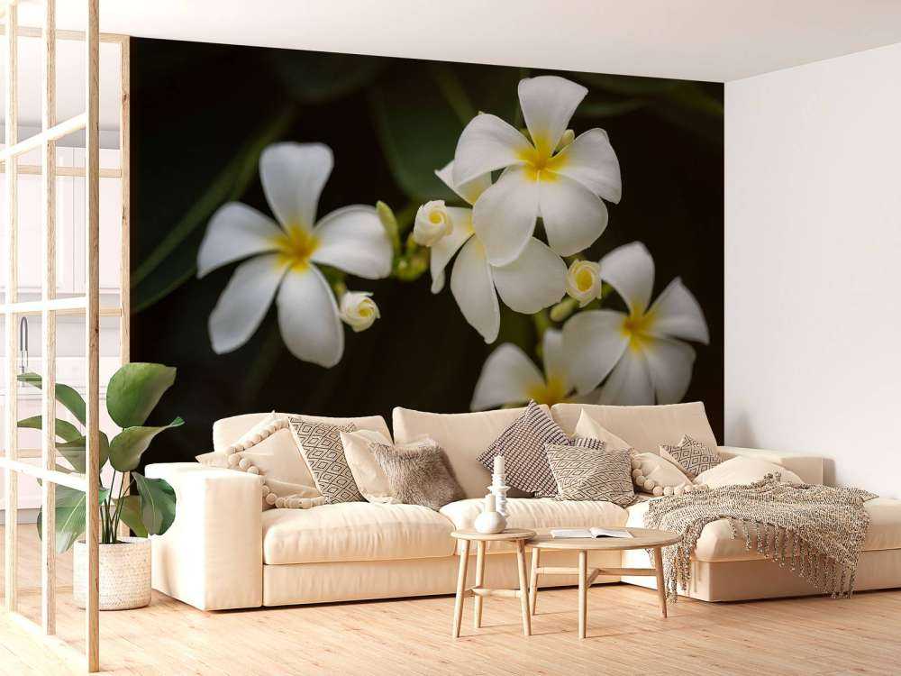 Primer plano de la Plumeria