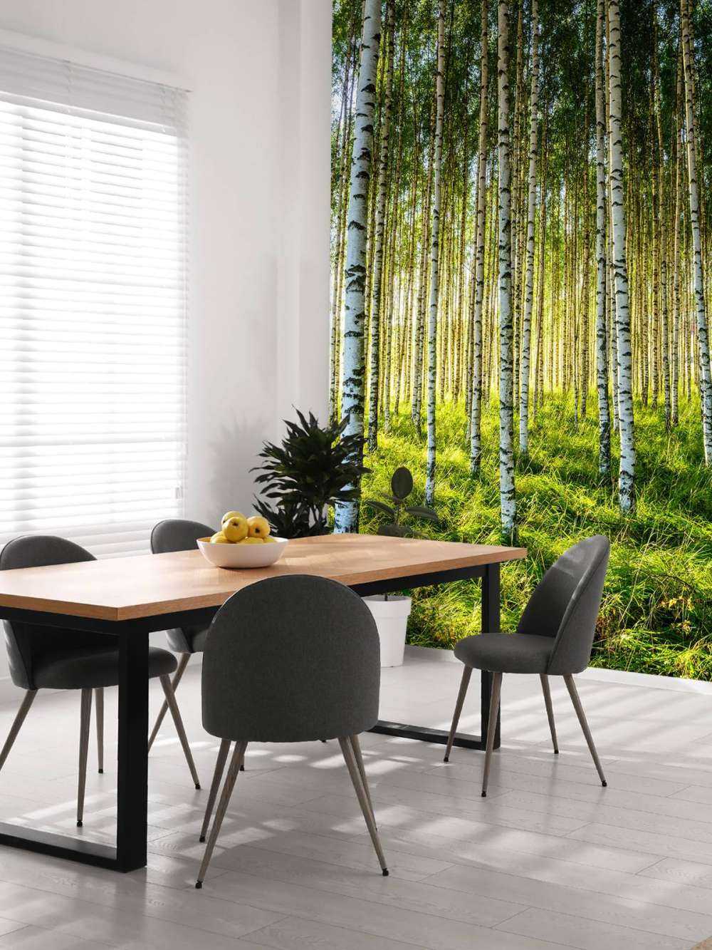 Bosque de abedules de verano