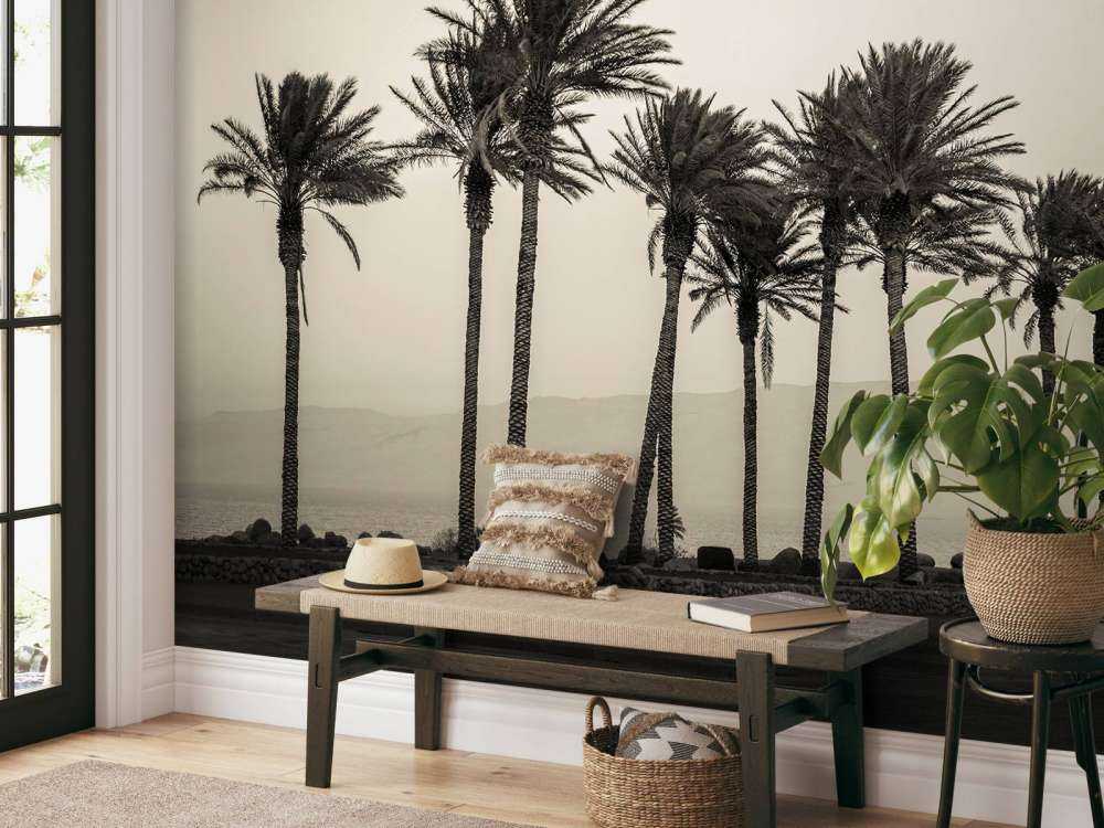 Palmeras en blanco y negro