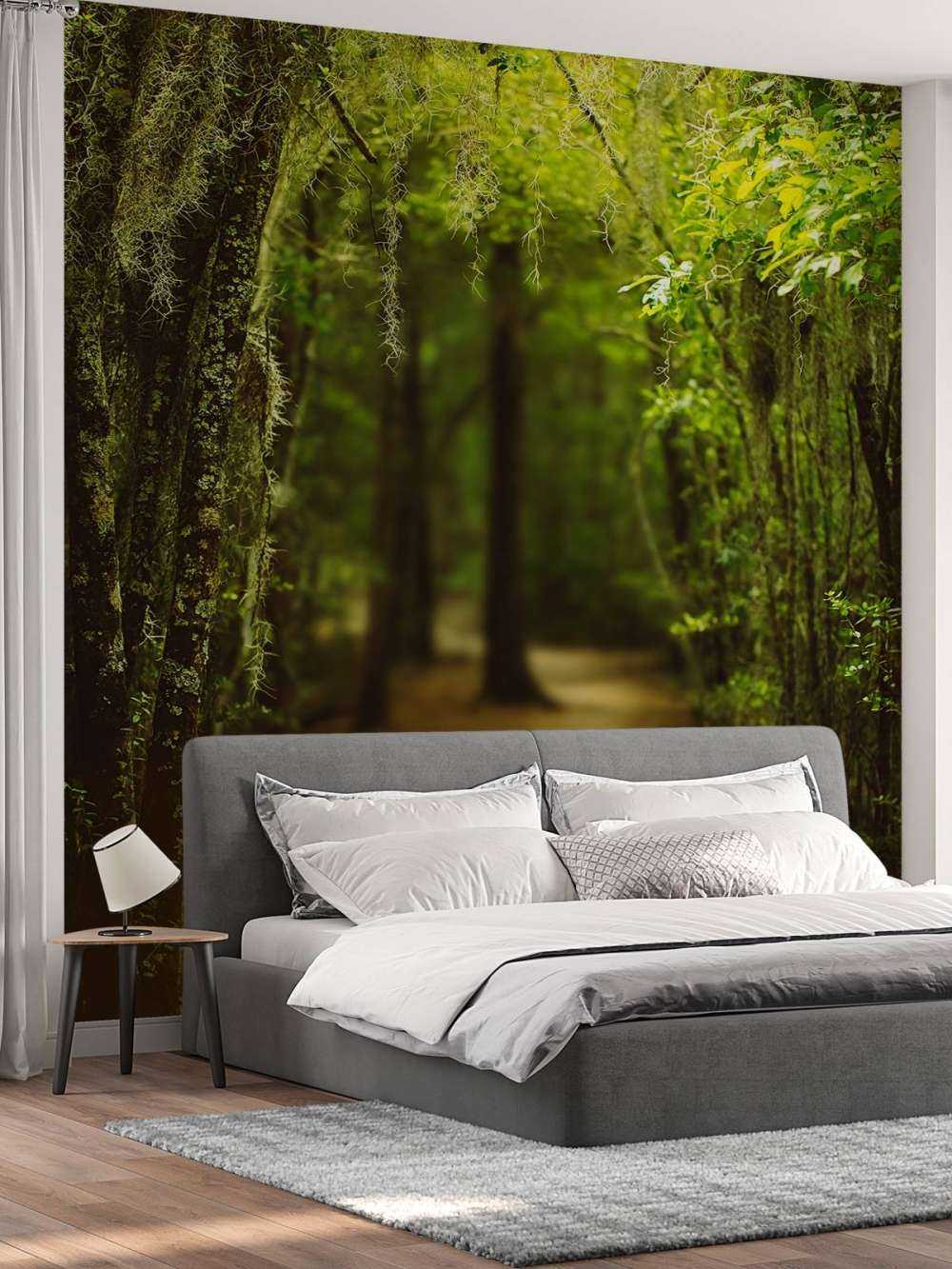 Bosque español lleno de musgo