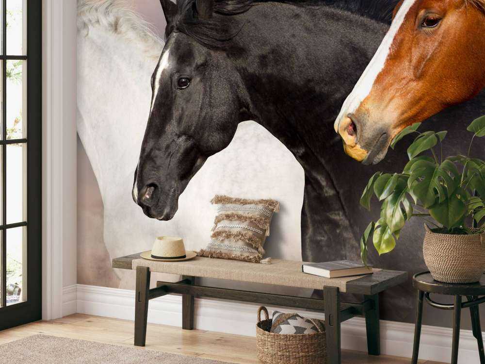 Manada de caballos