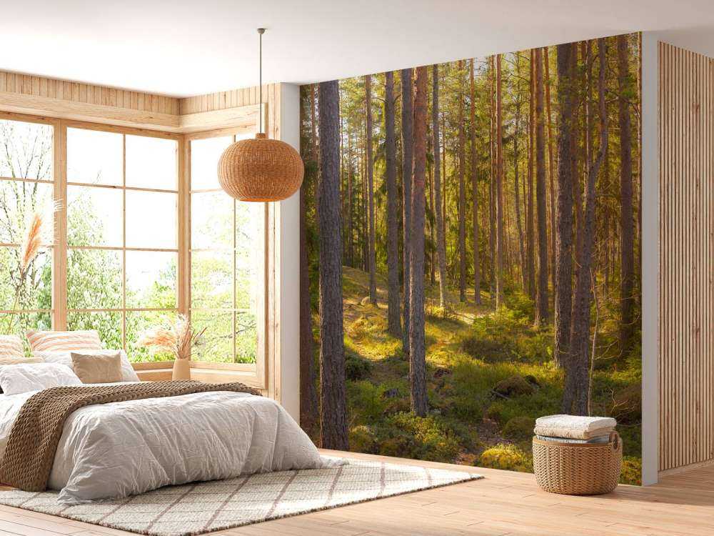Bosque de verano
