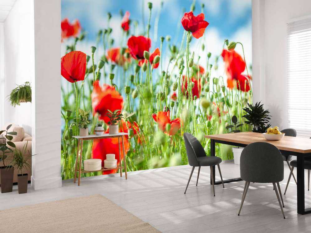 Campo con amapolas