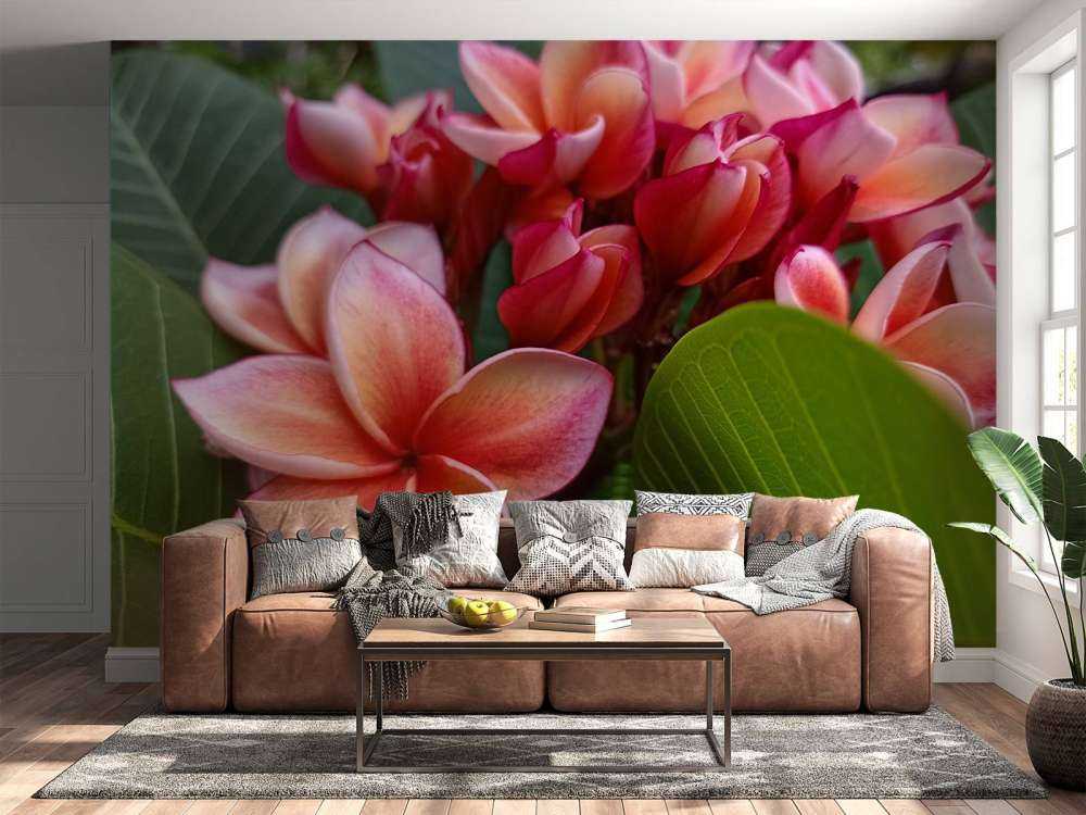 Flores tropicales