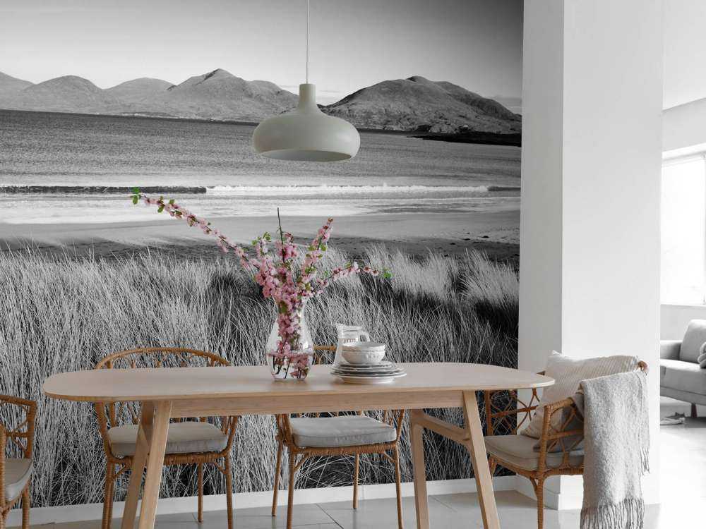 Marram grass, playa y montaña