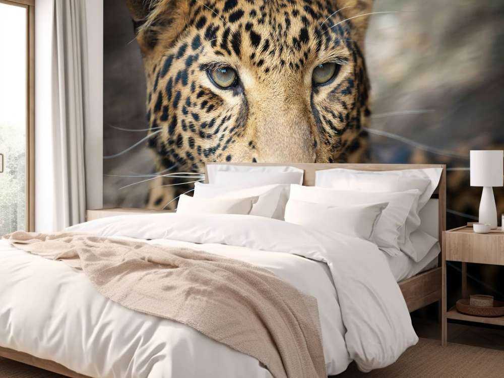 Primer plano de un leopardo