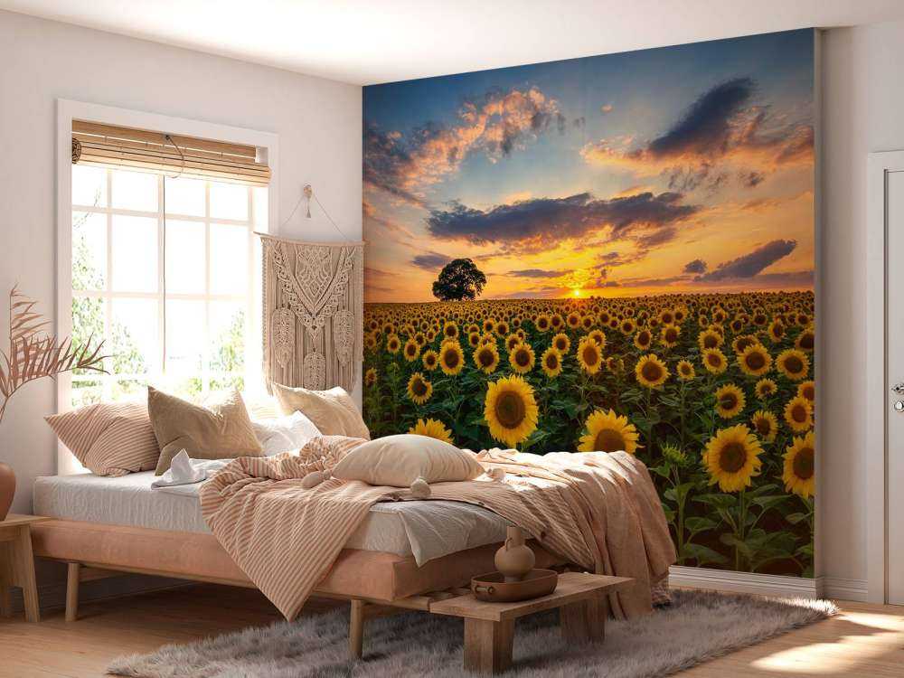 Campo lleno de girasoles