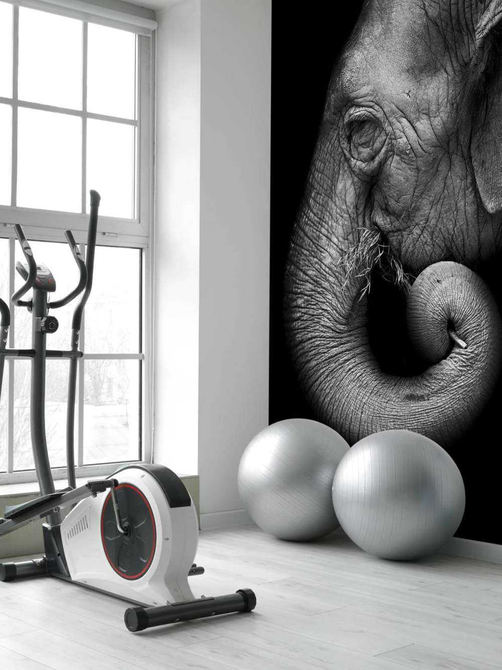 Retrato de elefante
