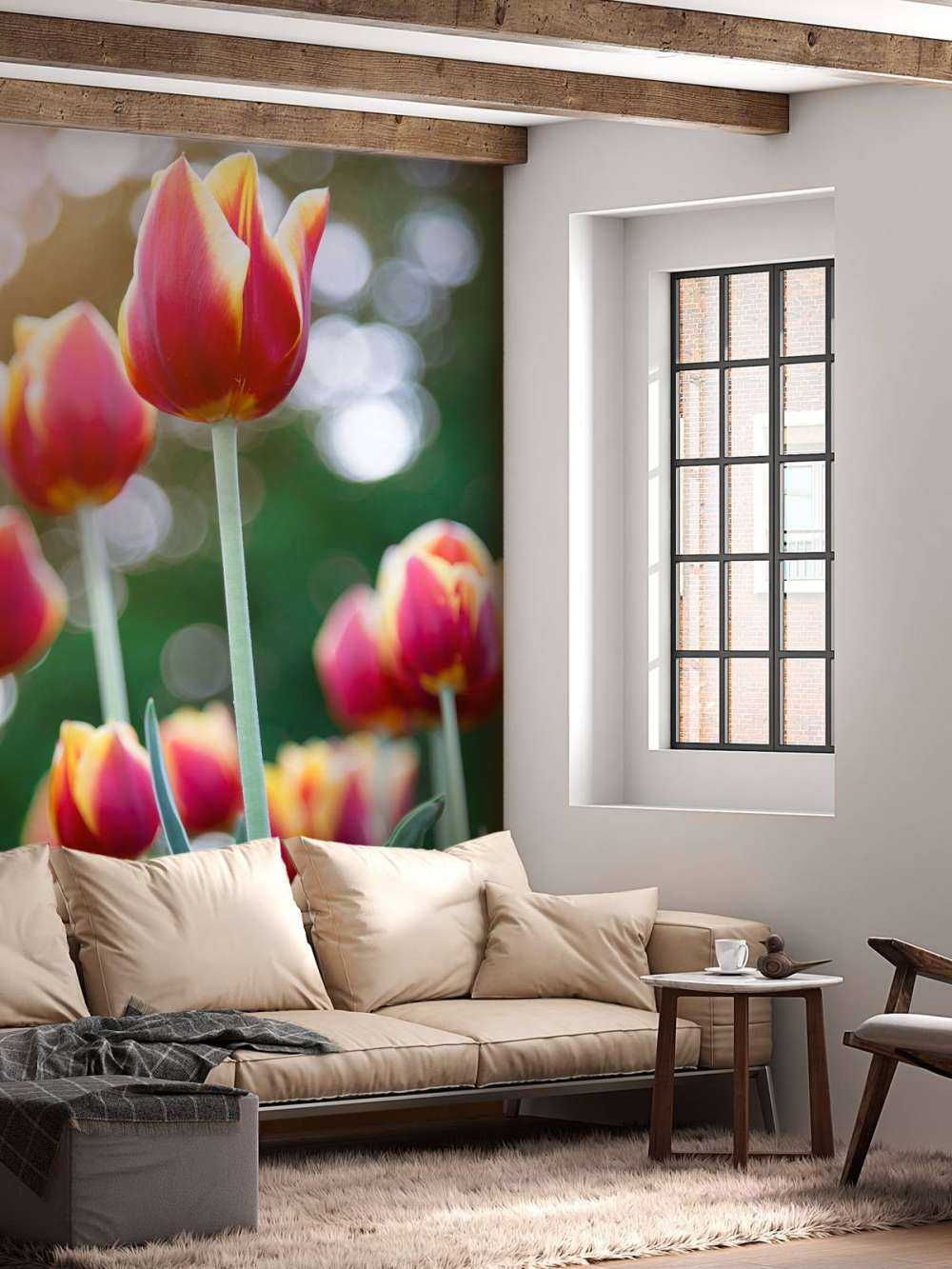 Tulipanes rojos y amarillos