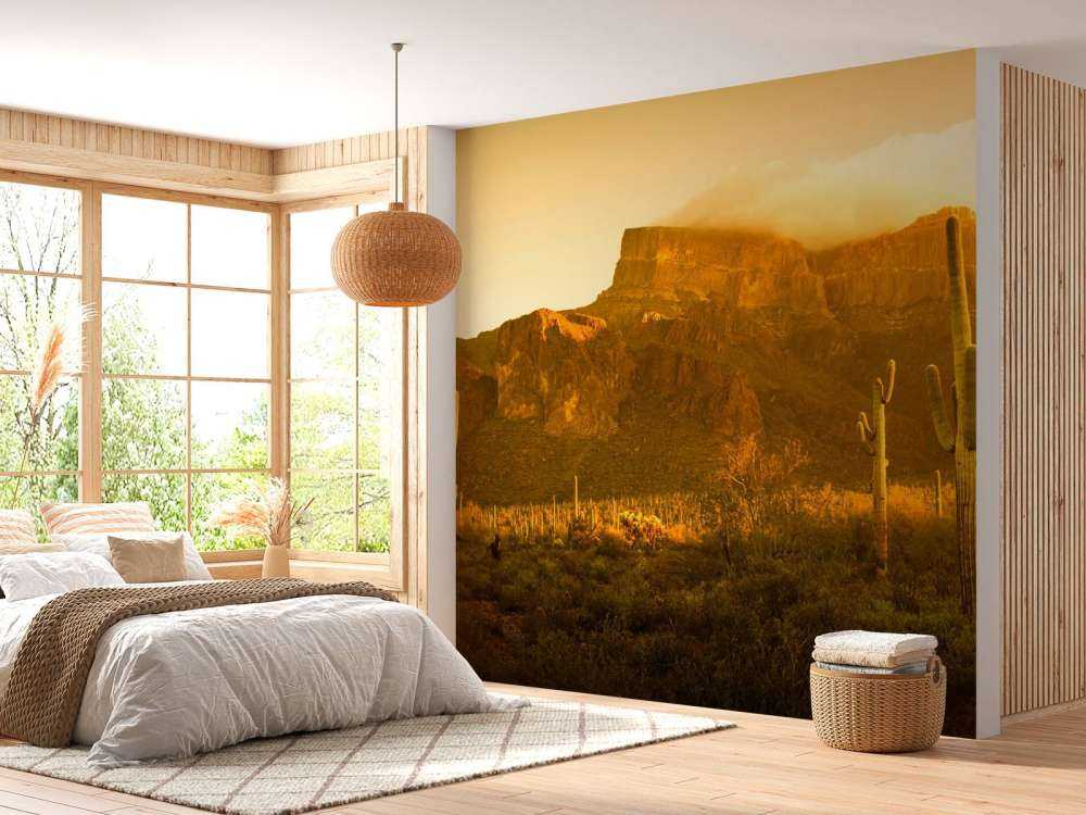 Desierto con cactus