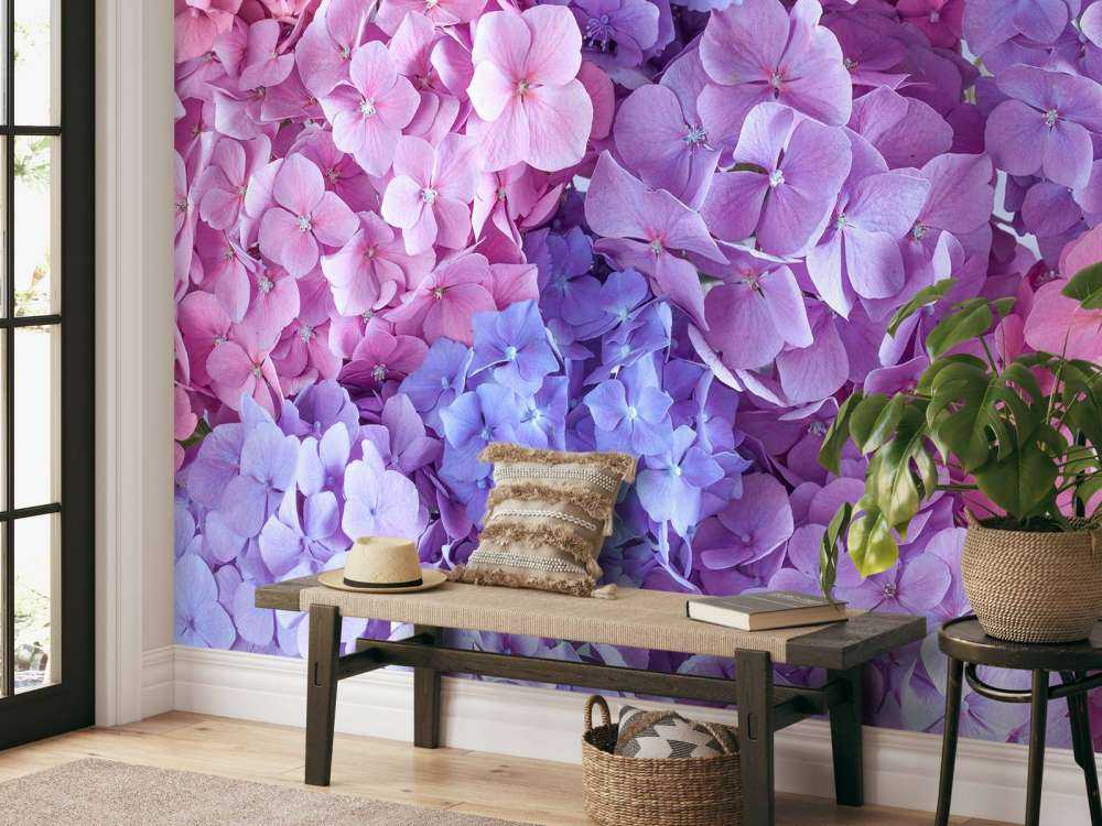 Hortensias de colores