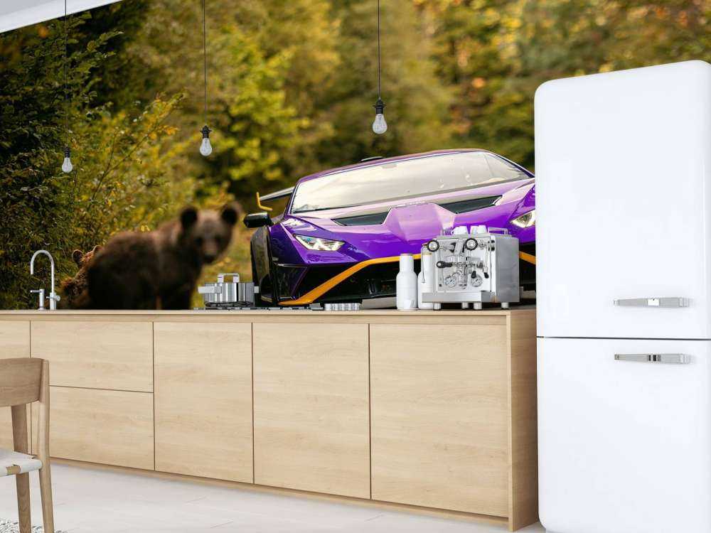 Lamborghini vs. naturaleza