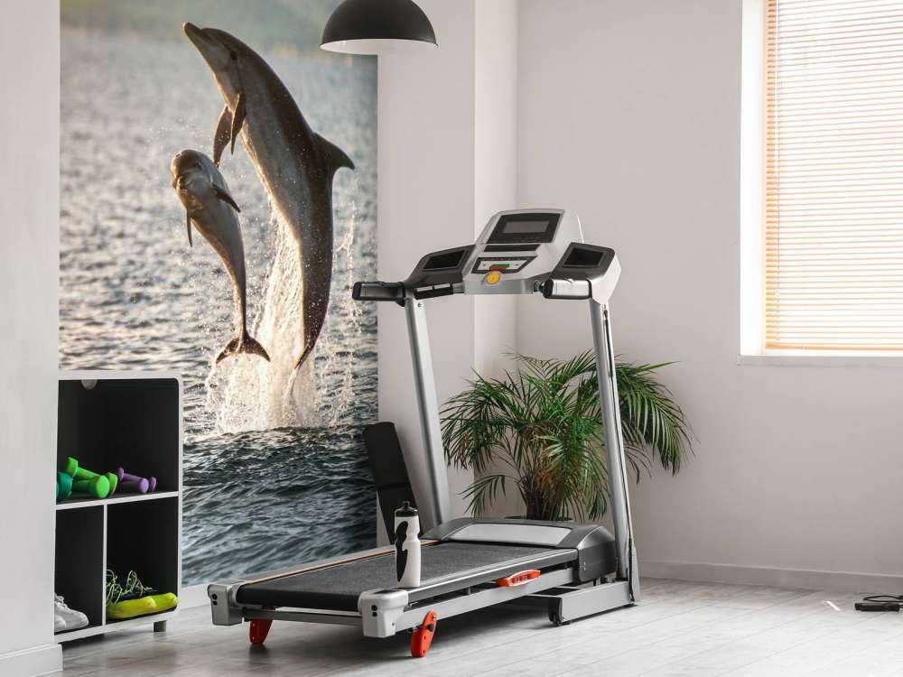Dos delfines saltadores