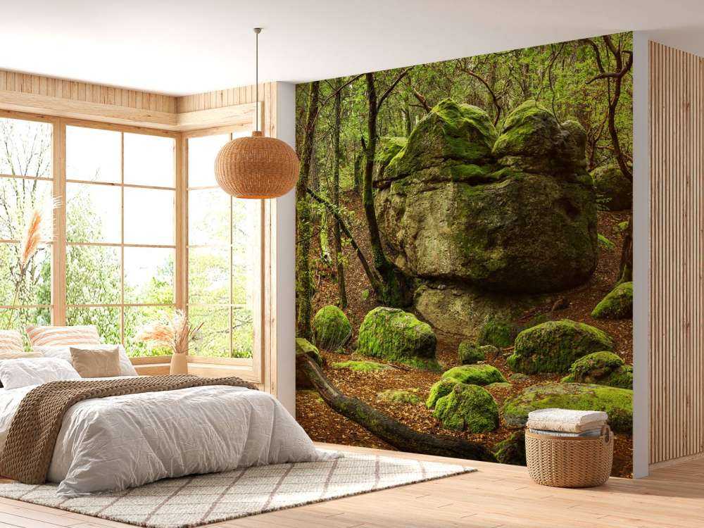 Bosque encantado