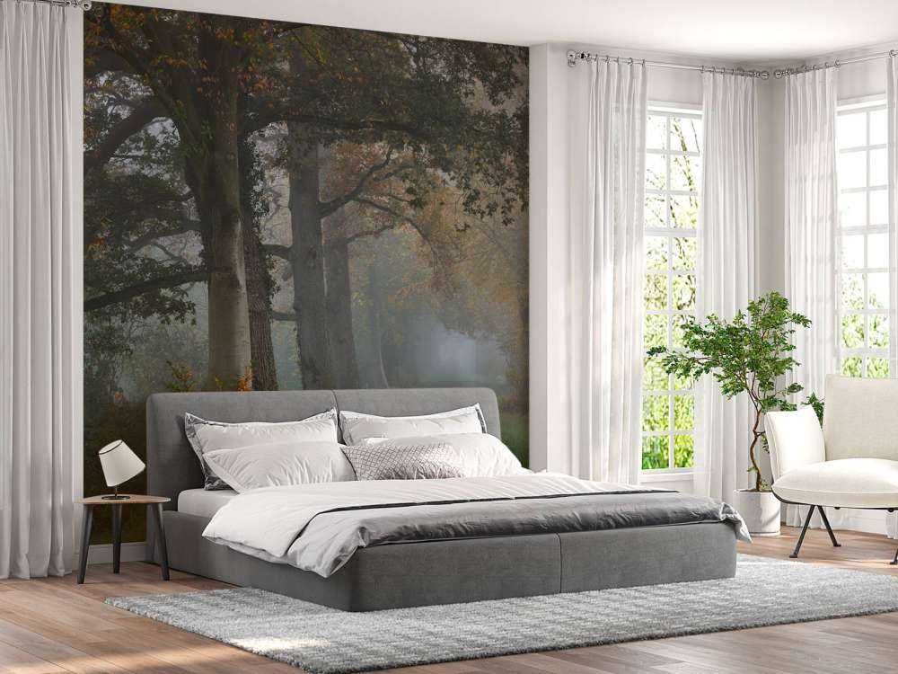 Carril con árboles en la niebla