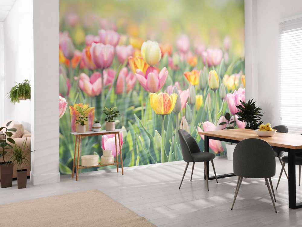 Tulipanes de colores