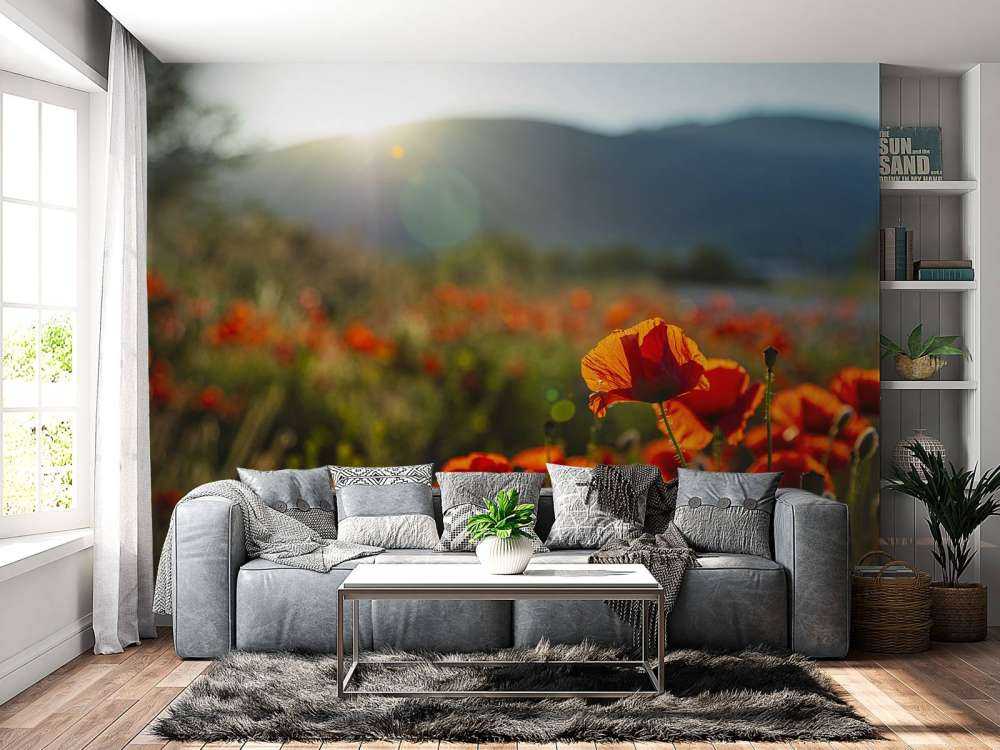 Amapolas con rayos de sol