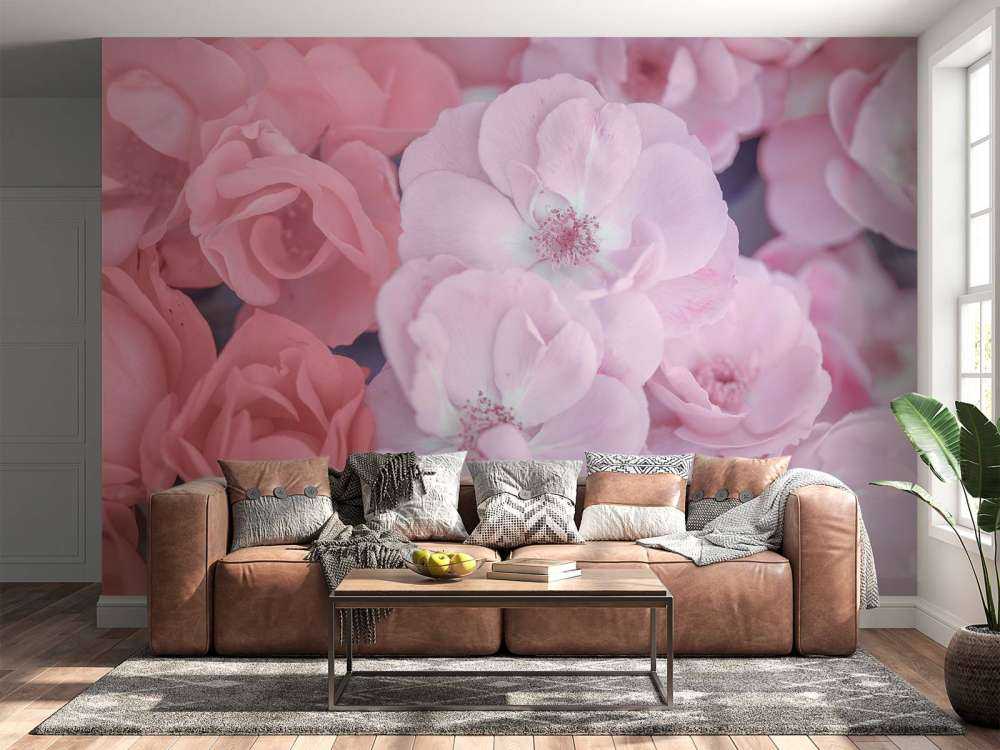 Flores clericales rosas