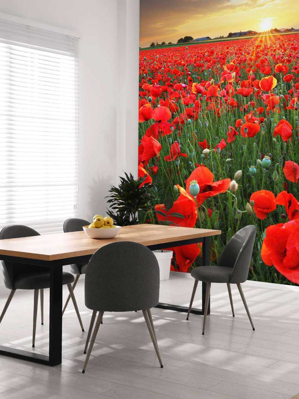 Amapolas con el sol poniente