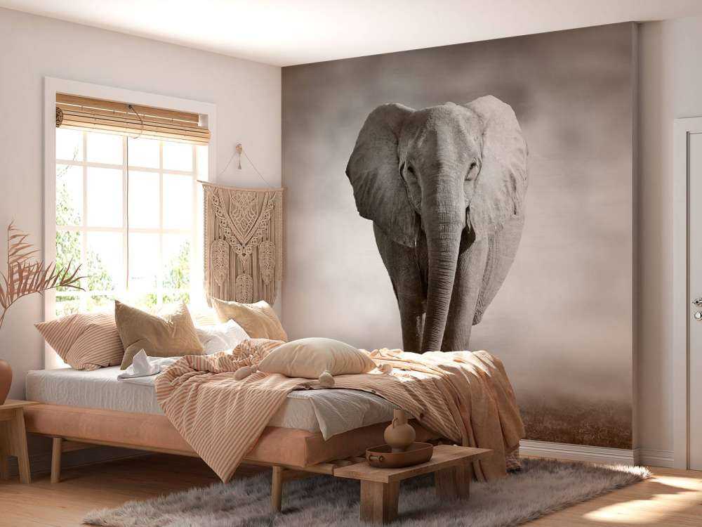 Hermoso elefante