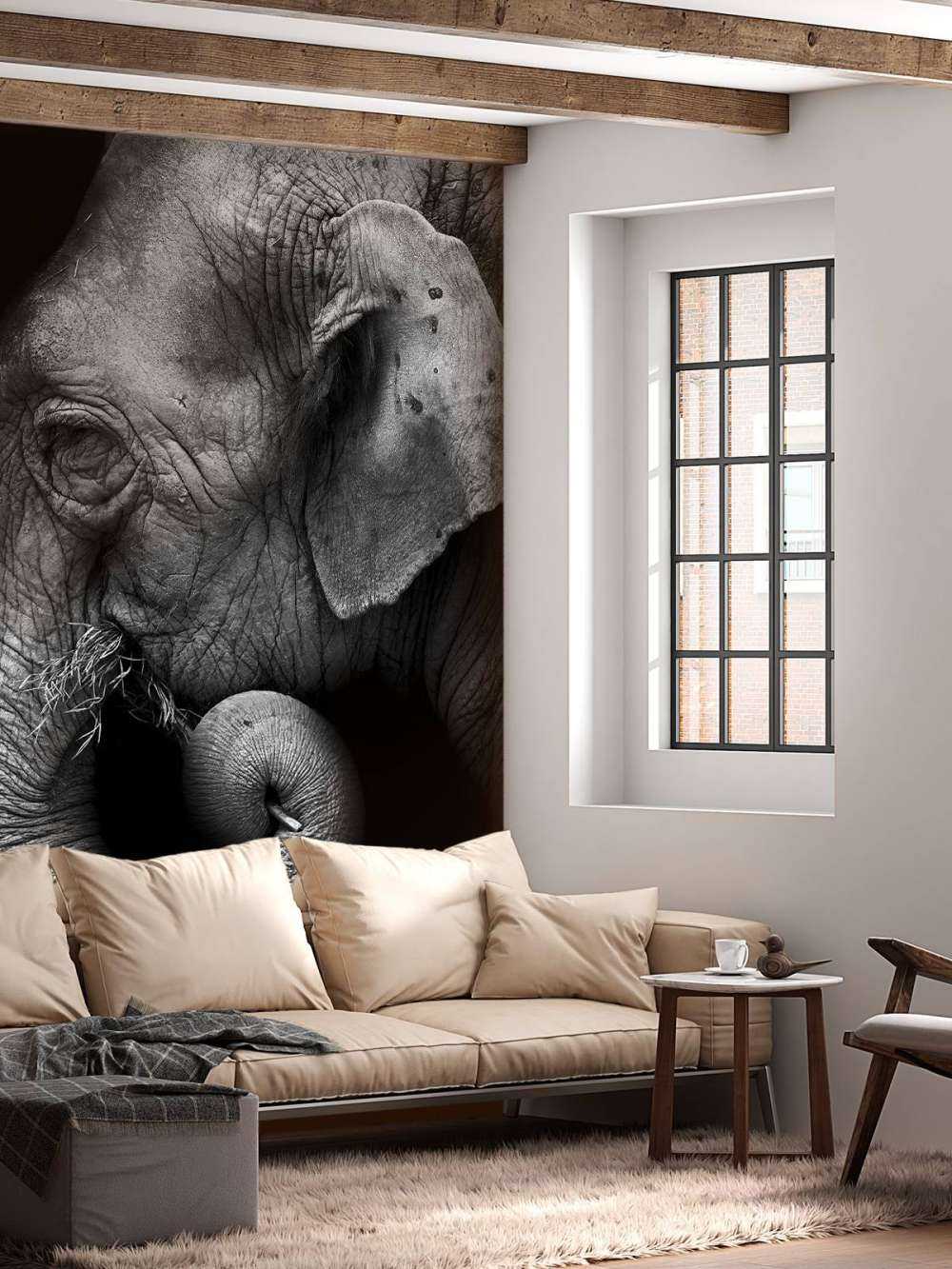Retrato de elefante