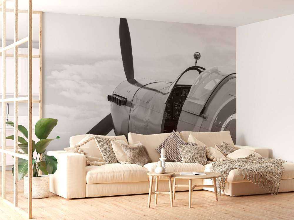 Antiguo avión de combate