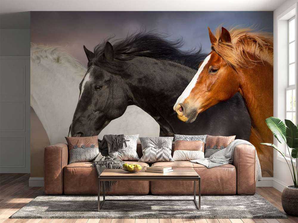 Manada de caballos