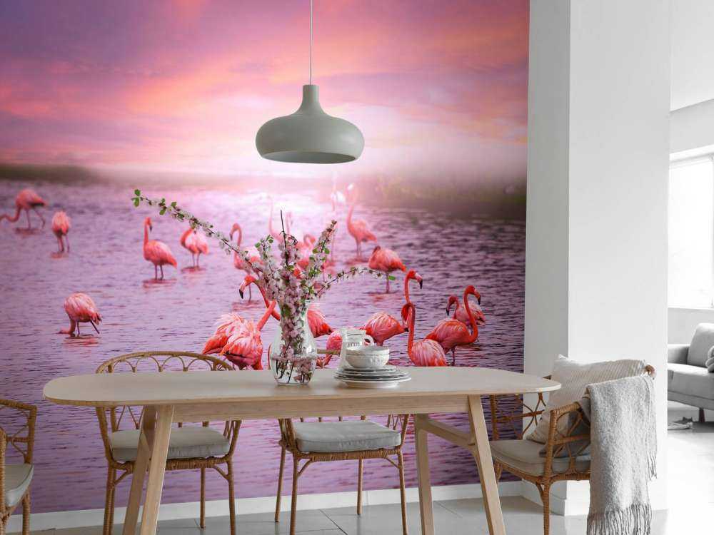 Flamencos con la puesta de sol