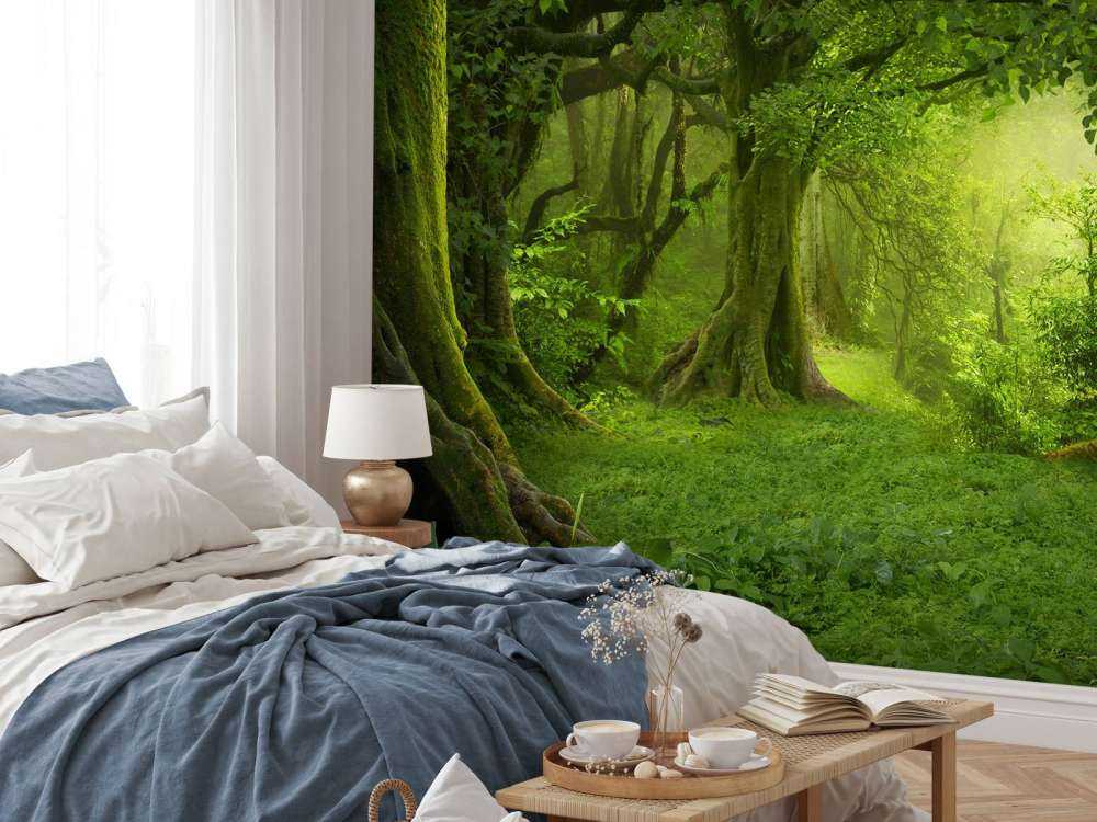 Selva verde