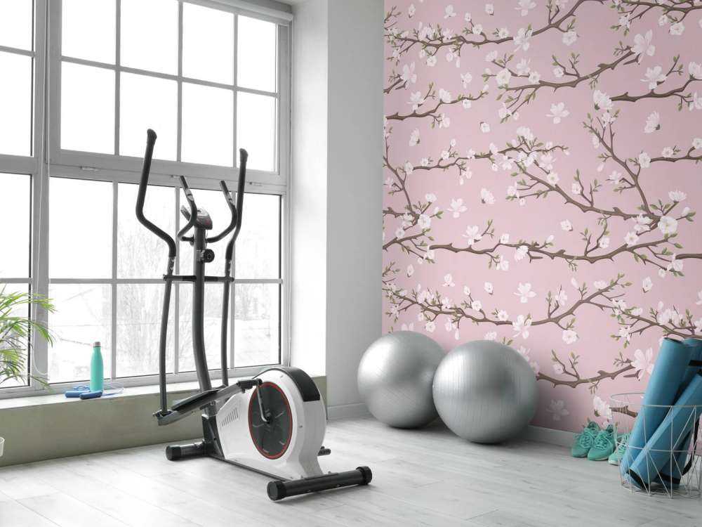 Ramas rosas de primavera