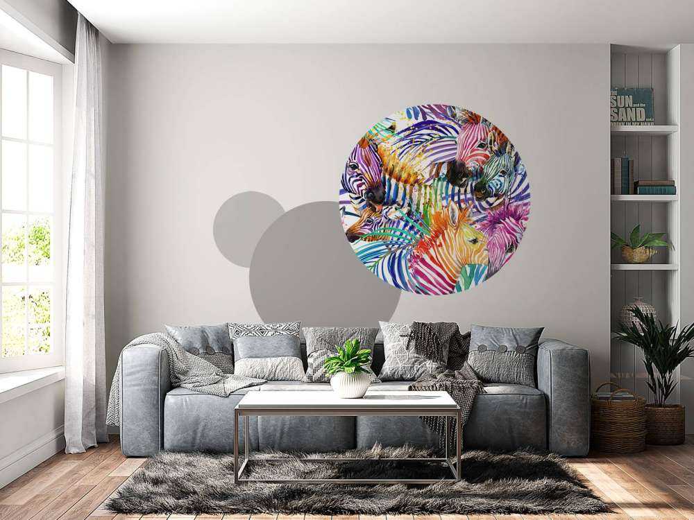 Cebras de colores
