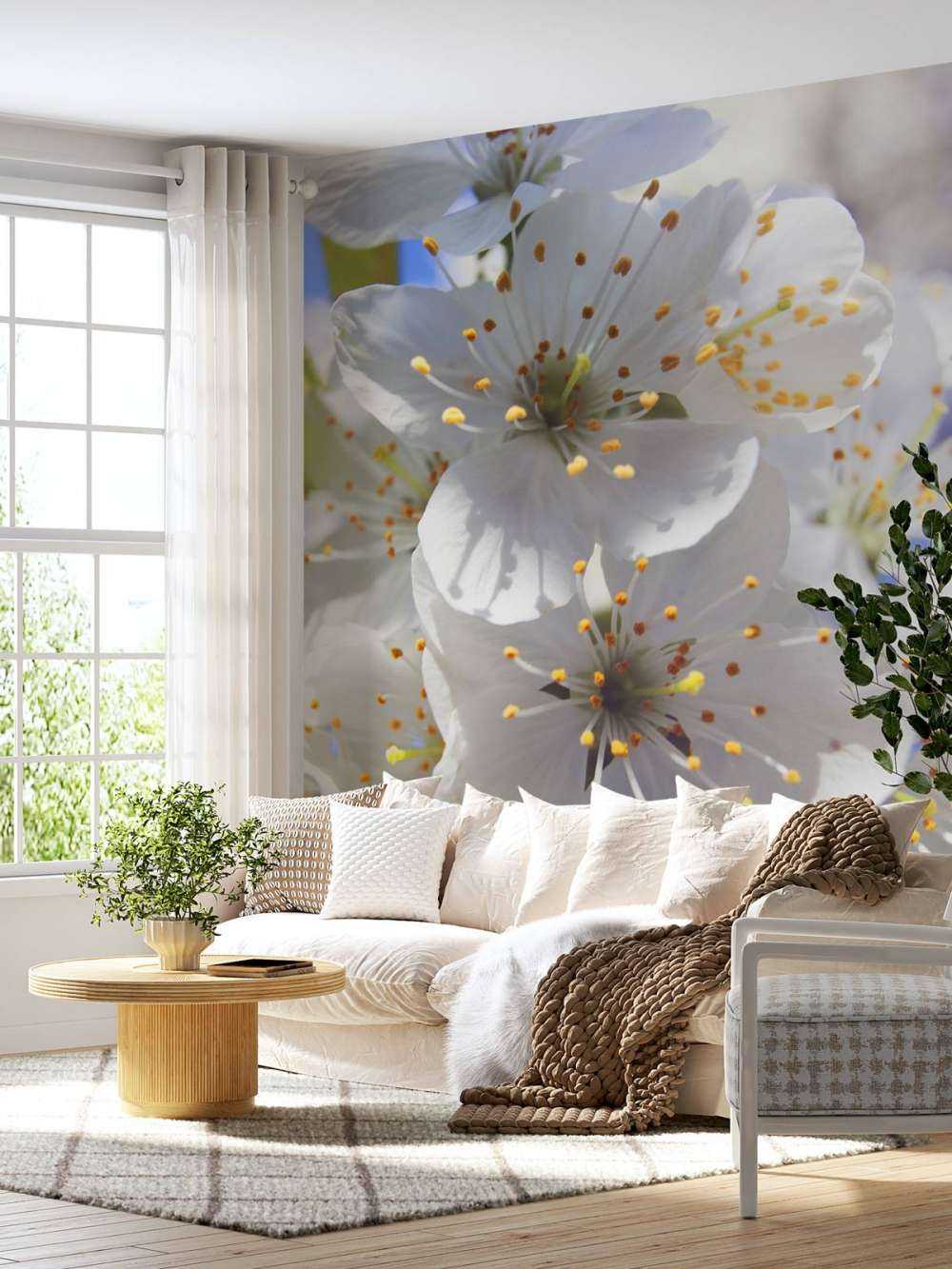 Primer plano de las flores blancas